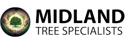 Midland Tree Specialists